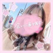 ヒメ日記 2026/03/01 15:12 投稿 なお 白いぽっちゃりさん