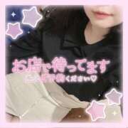 ヒメ日記 2026/03/15 12:38 投稿 なお 白いぽっちゃりさん