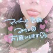 ヒメ日記 2026/03/19 18:54 投稿 なお 白いぽっちゃりさん