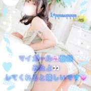 ヒメ日記 2026/03/20 09:38 投稿 なお 白いぽっちゃりさん