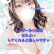 ヒメ日記 2026/03/26 14:31 投稿 なお 白いぽっちゃりさん