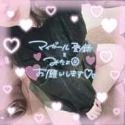 ヒメ日記 2026/03/29 10:48 投稿 なお 白いぽっちゃりさん