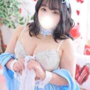 ヒメ日記 2026/04/03 11:58 投稿 なお 白いぽっちゃりさん