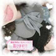 ヒメ日記 2026/04/18 17:38 投稿 なお 白いぽっちゃりさん