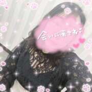 ヒメ日記 2026/04/19 10:42 投稿 なお 白いぽっちゃりさん