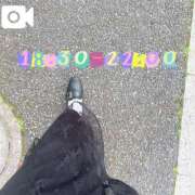 ヒメ日記 2026/05/06 11:22 投稿 なお 白いぽっちゃりさん