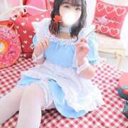 ヒメ日記 2026/05/17 09:49 投稿 なお 白いぽっちゃりさん