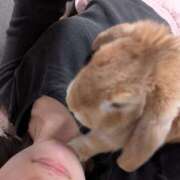 ヒメ日記 2025/05/06 22:30 投稿 あま キスMy