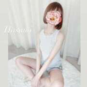 ヒメ日記 2025/04/17 02:24 投稿 Hasumi THE MUSE