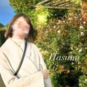 ヒメ日記 2025/04/18 01:14 投稿 Hasumi THE MUSE