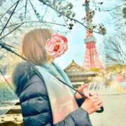 ヒメ日記 2025/04/19 11:24 投稿 Hasumi THE MUSE