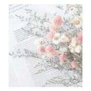 ヒメ日記 2025/04/22 19:20 投稿 大橋紗栄 お姉さんCLUB