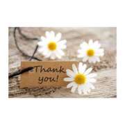 ヒメ日記 2025/07/11 00:15 投稿 大橋紗栄 お姉さんCLUB