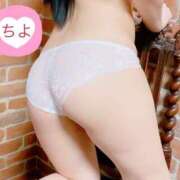 ヒメ日記 2025/02/28 09:49 投稿 ちよ 無我（むが）