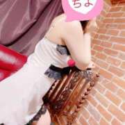 ヒメ日記 2025/05/26 09:45 投稿 ちよ 無我（むが）