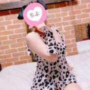 ヒメ日記 2025/07/15 09:50 投稿 ちよ 無我（むが）