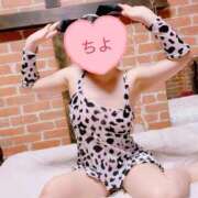 ヒメ日記 2025/10/28 09:38 投稿 ちよ 無我（むが）