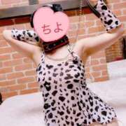 ヒメ日記 2025/11/21 10:13 投稿 ちよ 無我（むが）