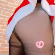 ヒメ日記 2025/12/24 10:21 投稿 ちよ 無我（むが）