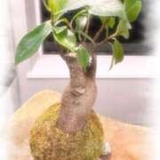 ヒメ日記 2025/02/11 01:14 投稿 木下 京香 人妻の雫 岡山店