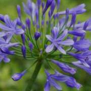 ヒメ日記 2025/02/11 04:54 投稿 木下 京香 人妻の雫 岡山店