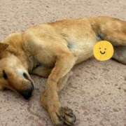 ヒメ日記 2025/03/01 21:54 投稿 木下 京香 人妻の雫 岡山店