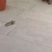 ヒメ日記 2025/03/02 22:14 投稿 木下 京香 人妻の雫 岡山店