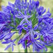 ヒメ日記 2025/03/09 16:44 投稿 木下 京香 人妻の雫 岡山店