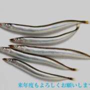 ヒメ日記 2025/03/31 20:54 投稿 木下 京香 人妻の雫 岡山店