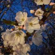 ヒメ日記 2025/04/01 21:44 投稿 木下 京香 人妻の雫 岡山店