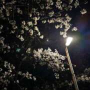 ヒメ日記 2025/04/09 02:24 投稿 木下 京香 人妻の雫 岡山店