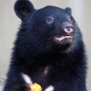 ヒメ日記 2025/04/18 01:14 投稿 木下 京香 人妻の雫 岡山店