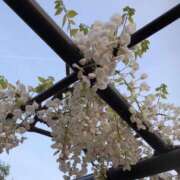 ヒメ日記 2025/04/19 19:34 投稿 木下 京香 人妻の雫 岡山店