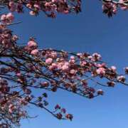 ヒメ日記 2025/04/21 20:54 投稿 木下 京香 人妻の雫 岡山店