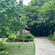 ヒメ日記 2025/05/02 00:54 投稿 木下 京香 人妻の雫 岡山店