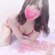 ヒメ日記 2025/02/26 04:00 投稿 Vanilla/ばにら プロフィール加古川