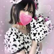 ヒメ日記 2025/05/31 21:10 投稿 Vanilla/ばにら プロフィール姫路