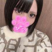 ヒメ日記 2024/12/21 17:06 投稿 Vanilla/バニラ ギャルズネットワーク 姫路