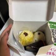 ヒメ日記 2025/09/16 19:37 投稿 いろは SUZUME