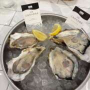 ヒメ日記 2025/10/02 23:38 投稿 いろは SUZUME