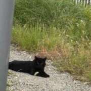 ヒメ日記 2025/10/18 16:03 投稿 いろは SUZUME