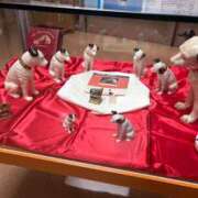 ヒメ日記 2026/03/03 17:50 投稿 いろは SUZUME