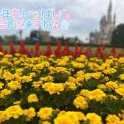 ヒメ日記 2024/12/28 20:31 投稿 みお 横浜風俗 横浜いきなりビンビン伝説