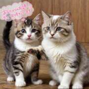 ヒメ日記 2025/02/22 09:50 投稿 みお 横浜風俗 横浜いきなりビンビン伝説