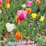 ヒメ日記 2025/04/14 08:56 投稿 みお 横浜風俗 横浜いきなりビンビン伝説