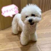 ヒメ日記 2025/04/16 14:02 投稿 みお 横浜風俗 横浜いきなりビンビン伝説