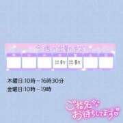 ヒメ日記 2025/07/29 13:02 投稿 みお 横浜風俗 横浜いきなりビンビン伝説