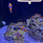 ヒメ日記 2025/08/07 12:30 投稿 みお 横浜風俗 横浜いきなりビンビン伝説