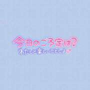 ヒメ日記 2025/08/18 07:30 投稿 みお 横浜風俗 横浜いきなりビンビン伝説
