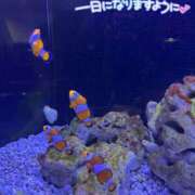 ヒメ日記 2025/09/16 12:03 投稿 みお 横浜風俗 横浜いきなりビンビン伝説